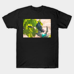 Grapes on Vines T-Shirt